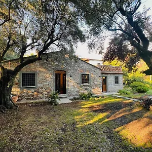 La Casina Di Susy Casa vacanze