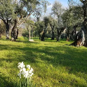 Antico Uliveto Casa di campagna